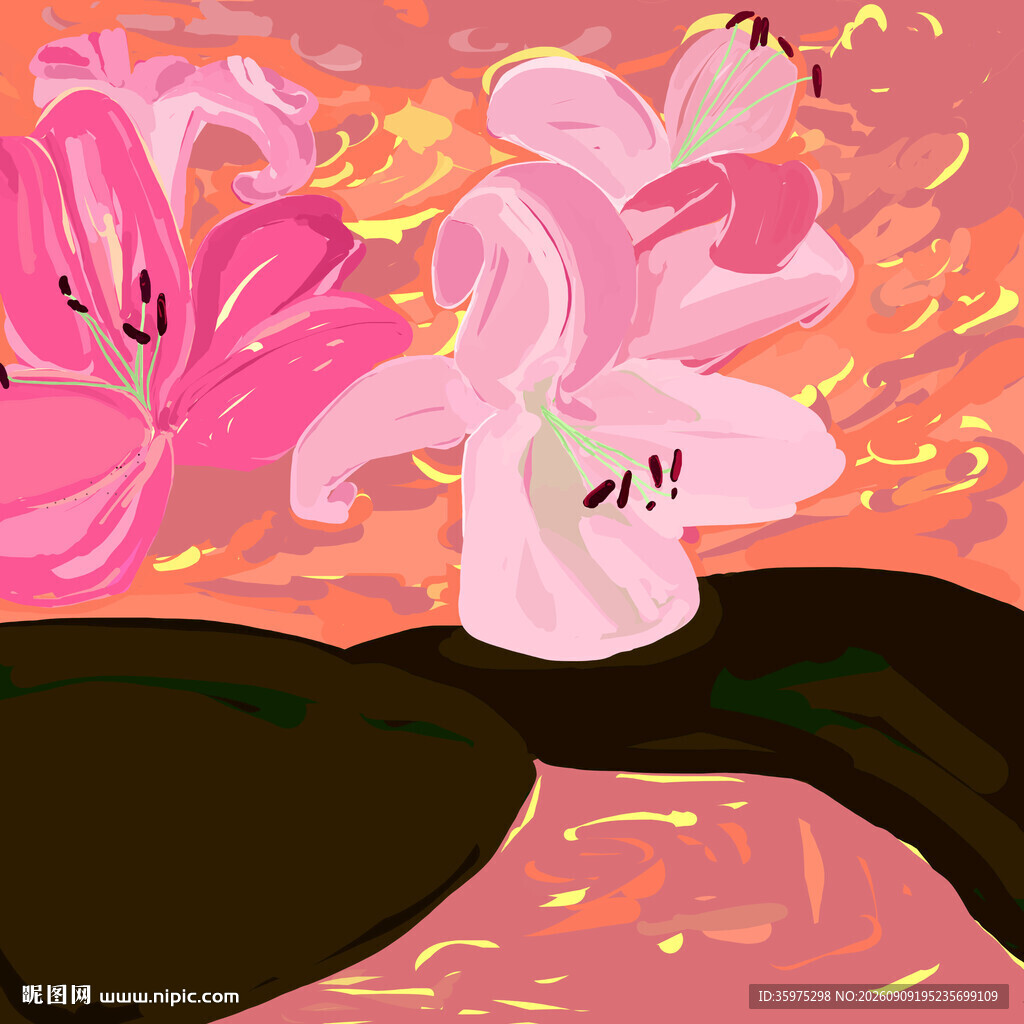 百合花