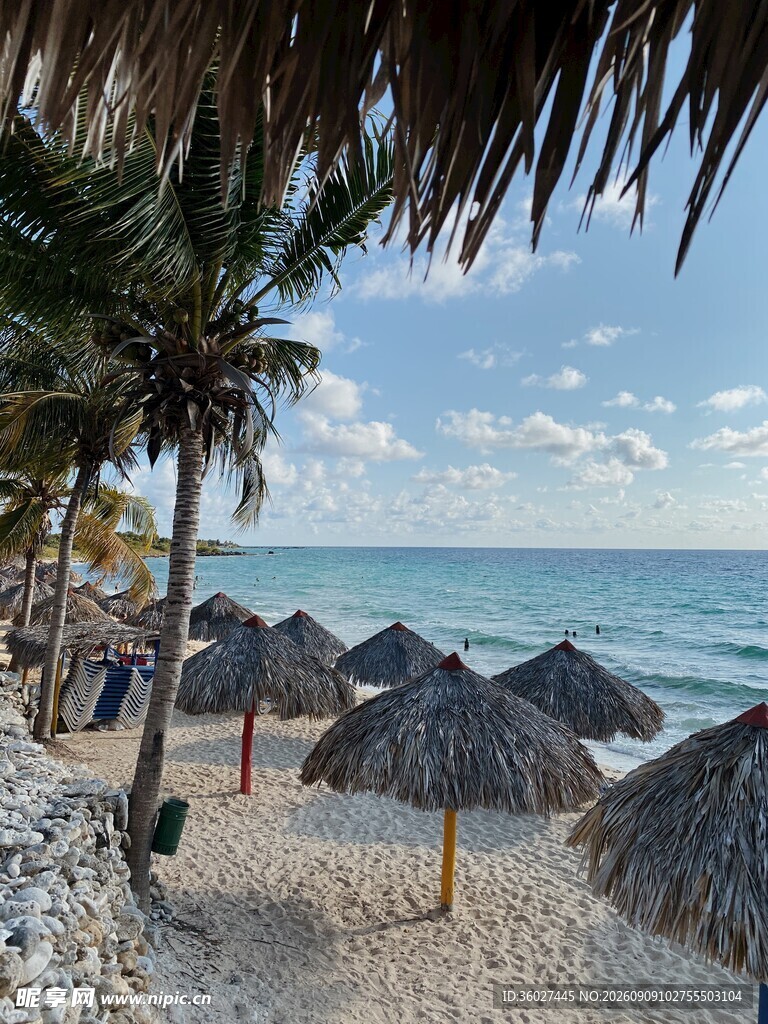 海滩上的茅草遮阳伞风景