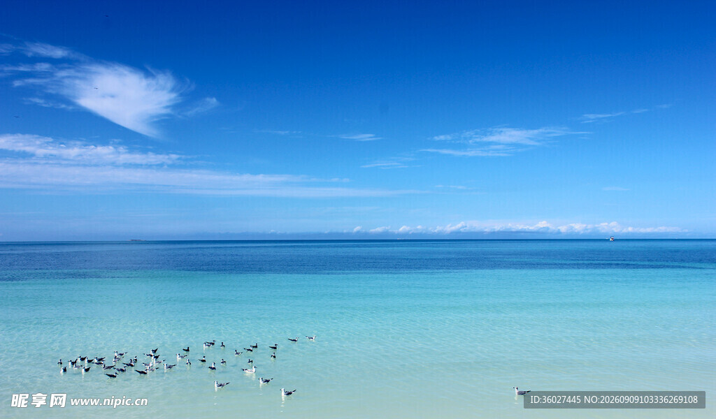 美丽清澈的海边风景