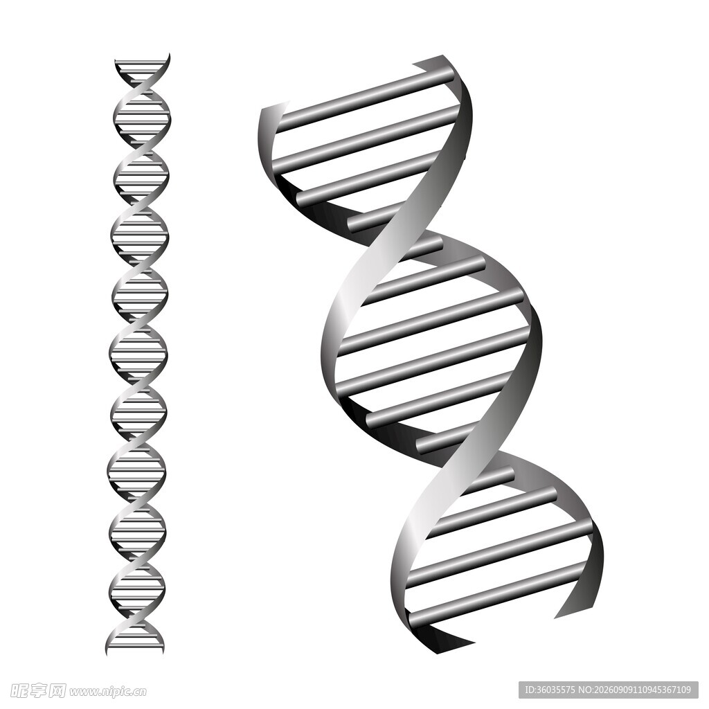 DNA 双螺旋素材