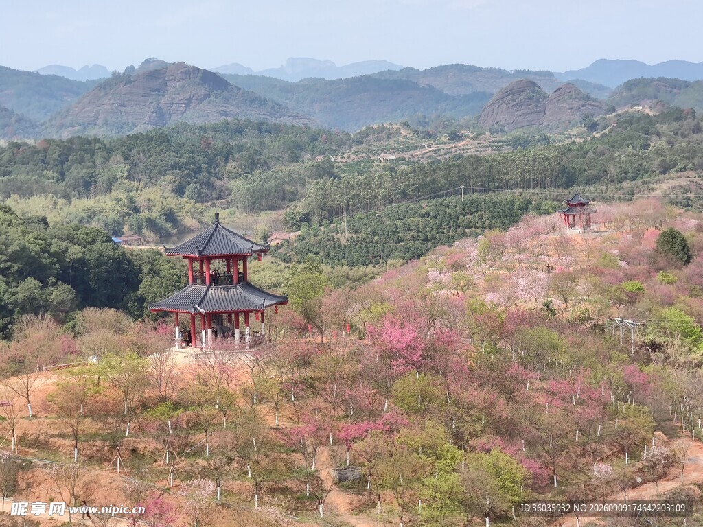 山间繁花簇拥的古亭美景
