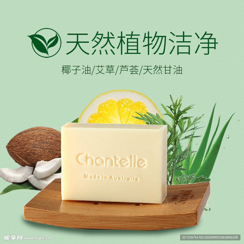 植物 洁净