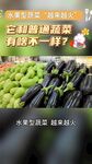新鲜多样蔬菜待您选购