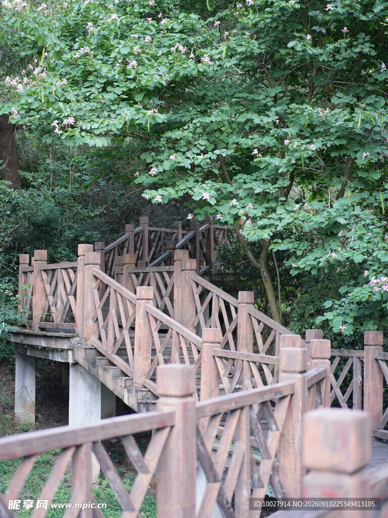 栈道