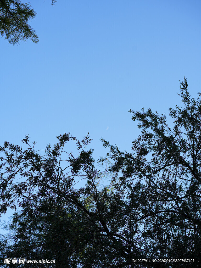 天空