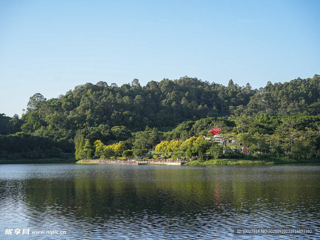 大夫山湖