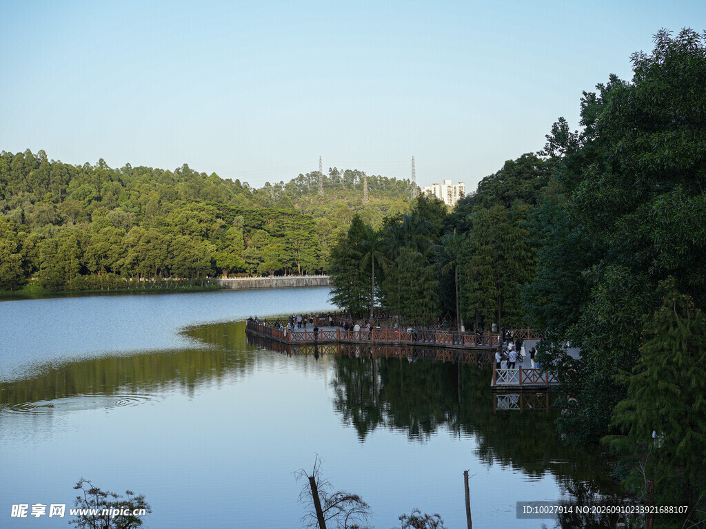 大夫山栈道