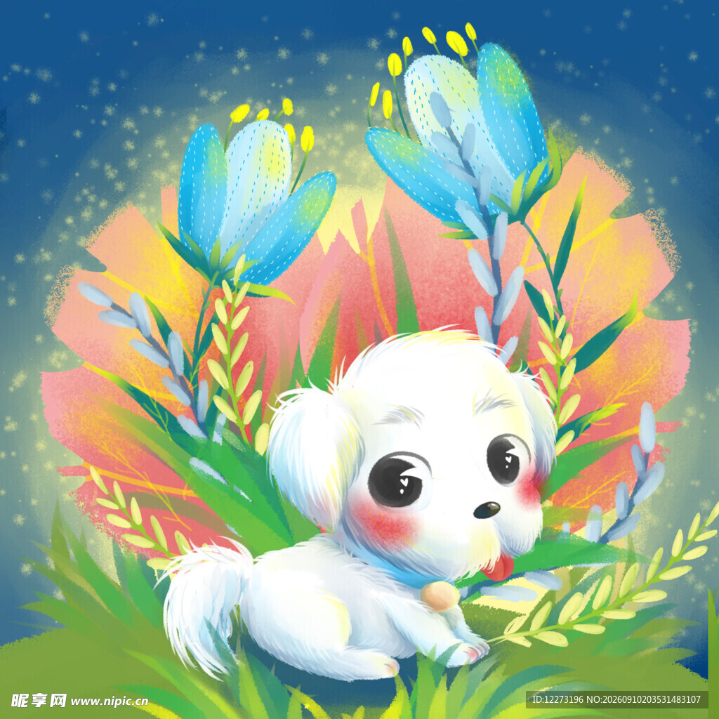 十二生肖           