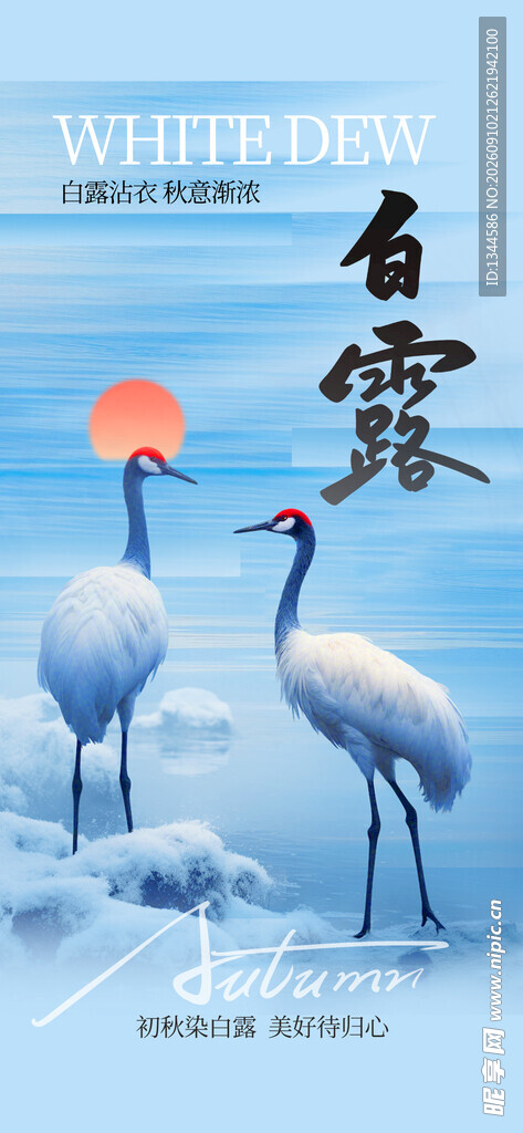白露