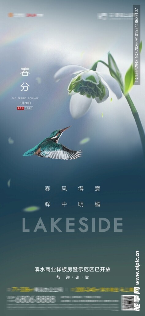 春分节气