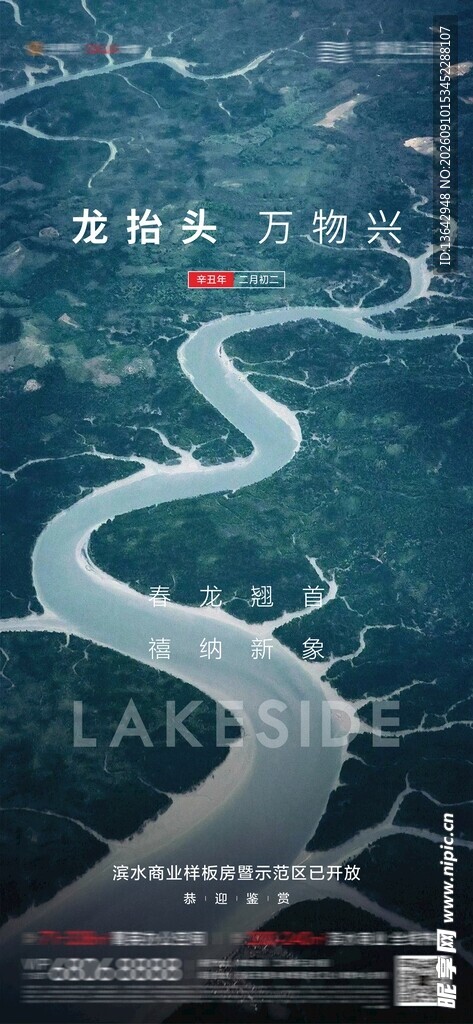 龙抬头