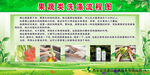 家用清洁用品促销海报