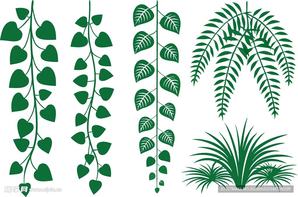 绿植藤蔓素材