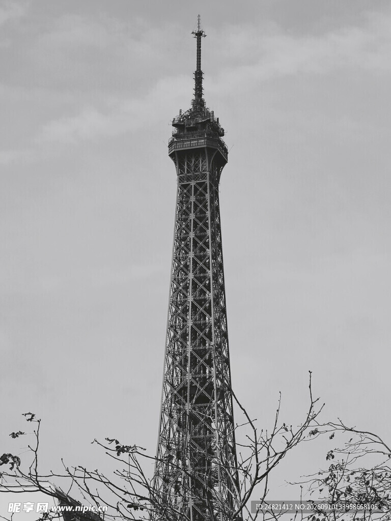 埃菲尔铁塔的黑白景致