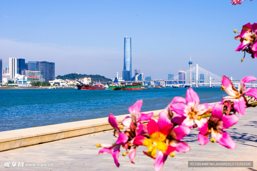 海滨繁花与城市风光