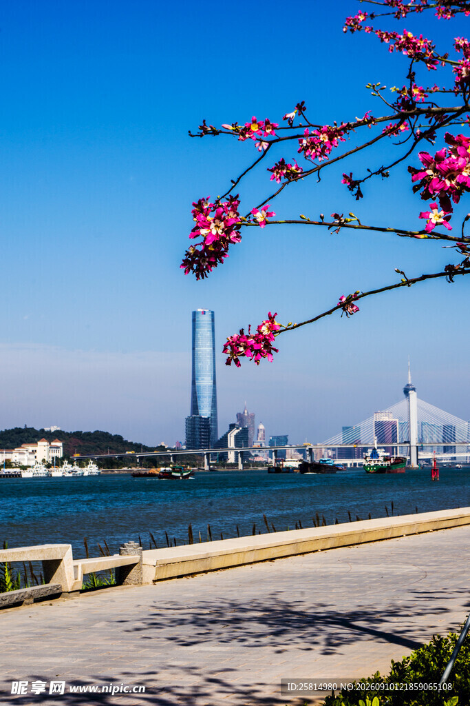 海滨城市繁花与桥梁美景