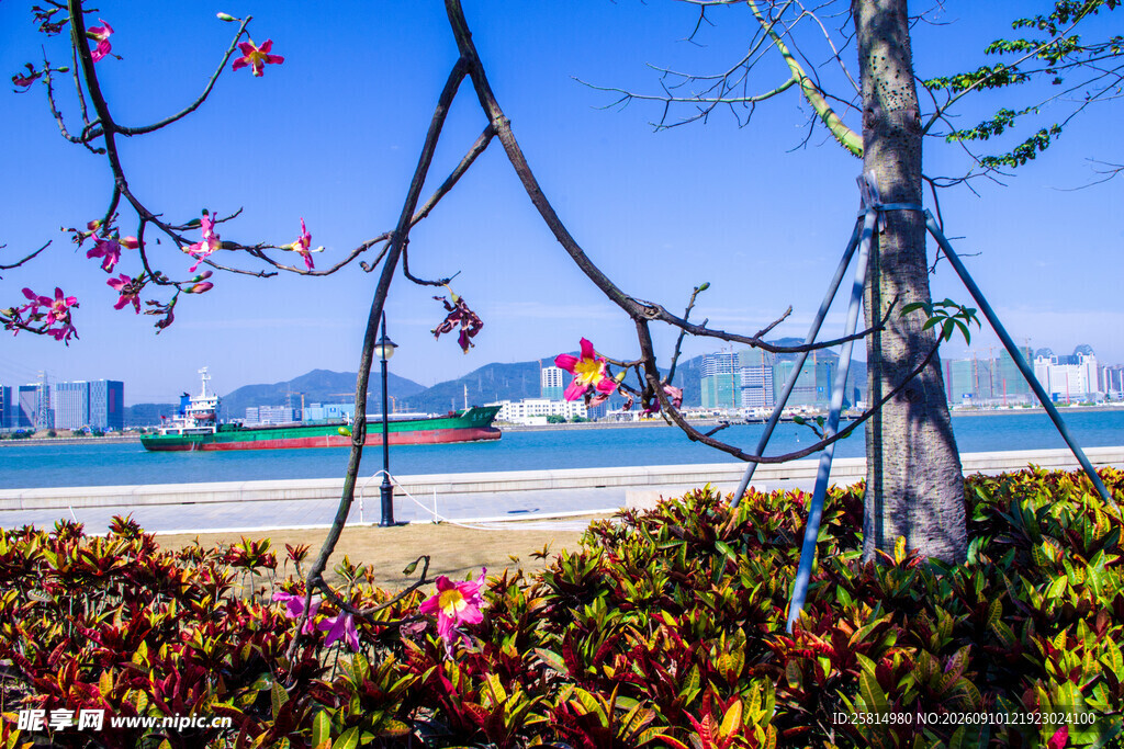 海滨繁花绿树美景