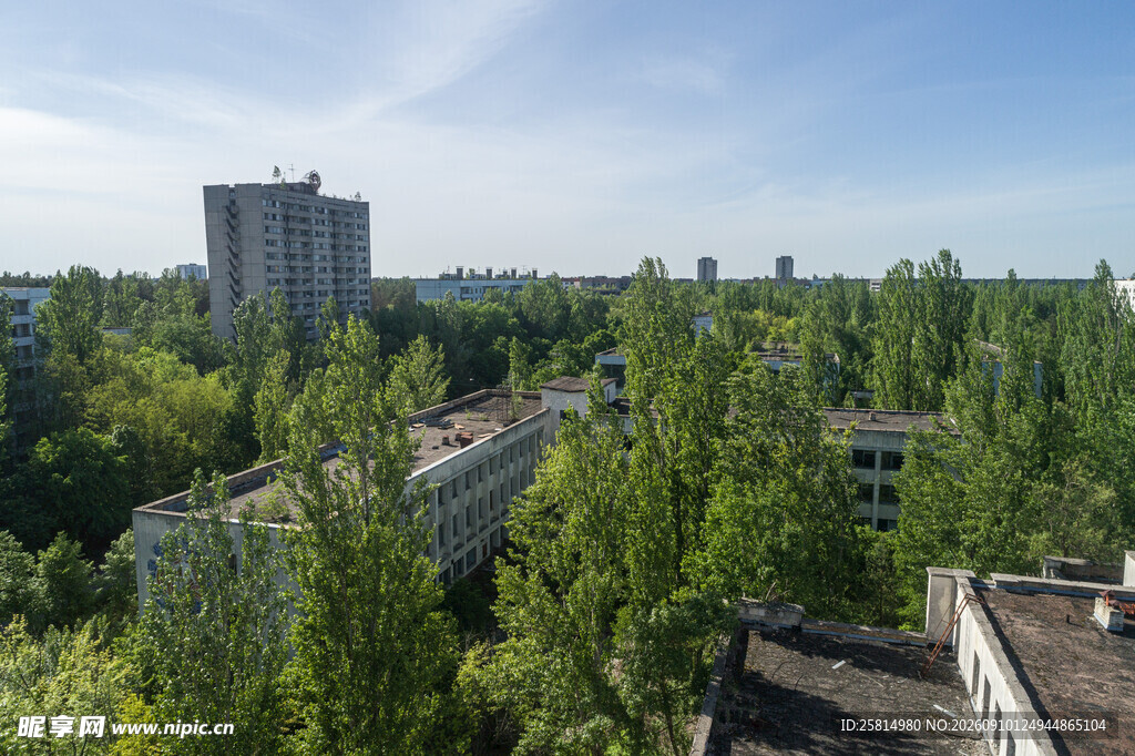 城市绿树环绕的建筑景观