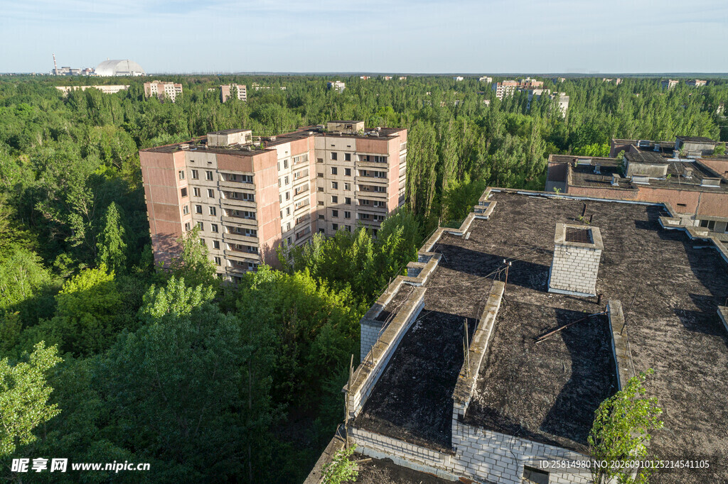 老旧建筑群与周边绿树