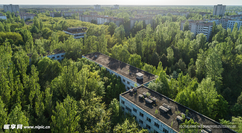 森林中穿行的列车美景