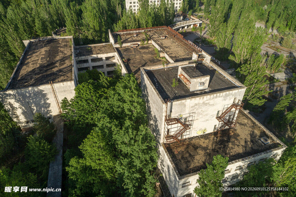 废弃建筑群隐于茂密森林