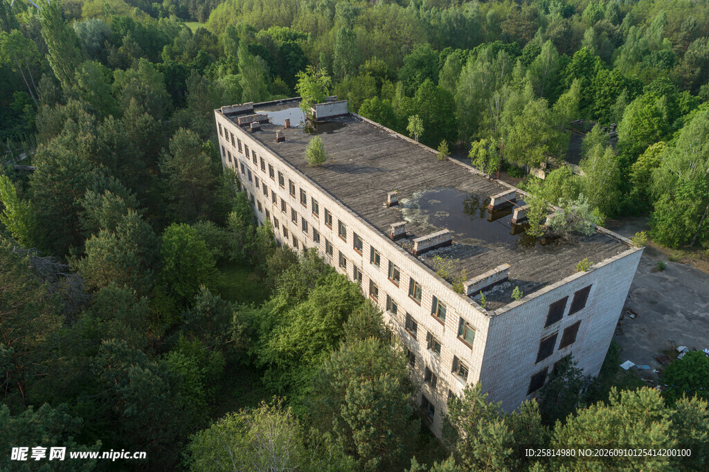 森林中的废弃多层建筑物