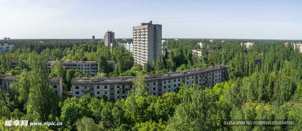 森林环绕的高楼建筑群