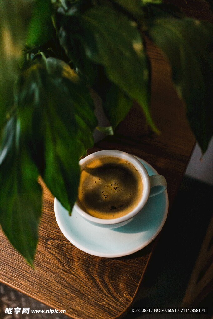 绿植旁的醇香咖啡杯