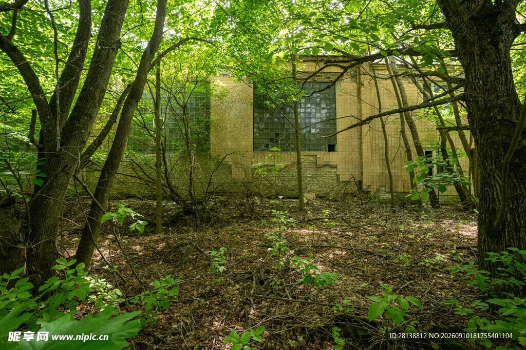 丛林中的废弃小屋