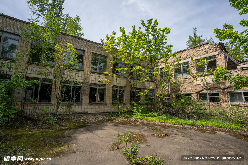 废弃建筑中的绿意景象