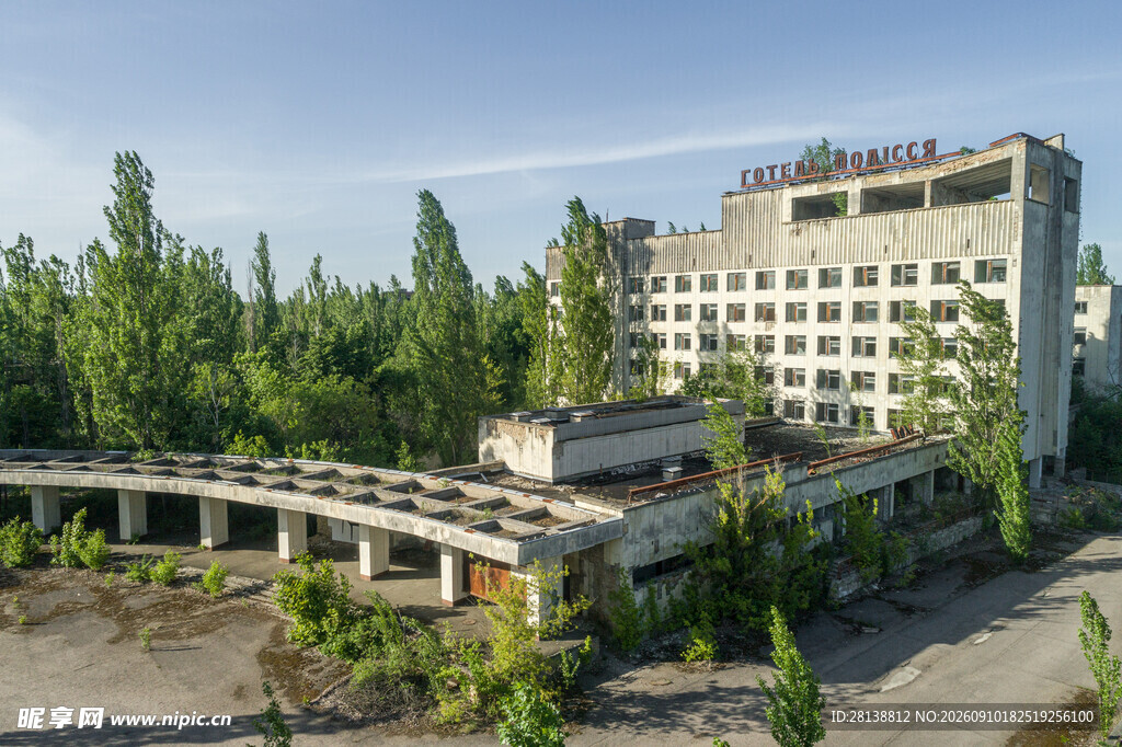 废弃建筑旁的绿植景观