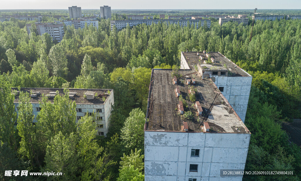废弃建筑隐于茂密树林中
