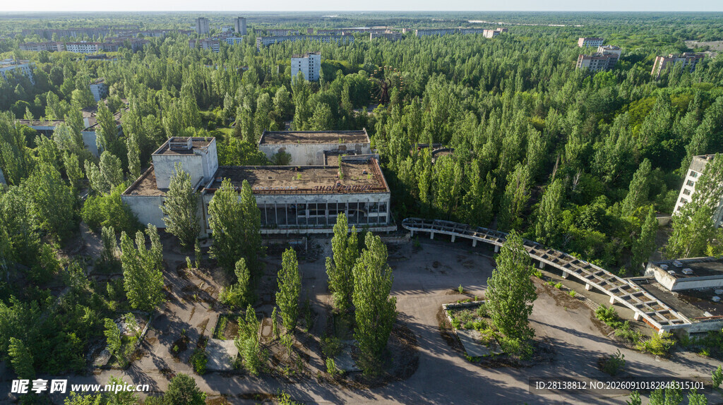 森林中的建筑景观