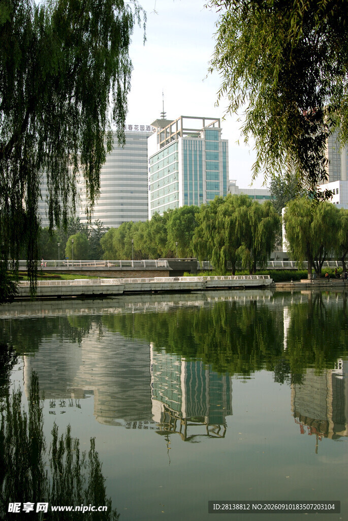 城市河畔垂柳倒影美景