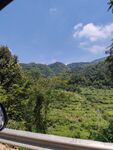 溪流风景  山村小路