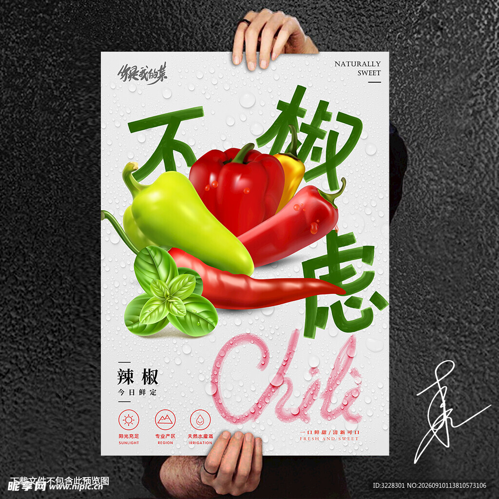 辣椒海报