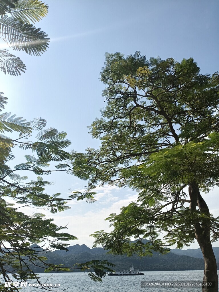 湖畔绿树蓝天美景