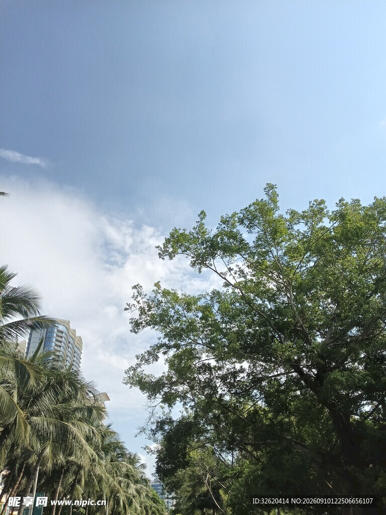 蓝天绿树风景