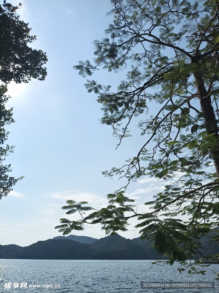湖畔绿树映蓝天