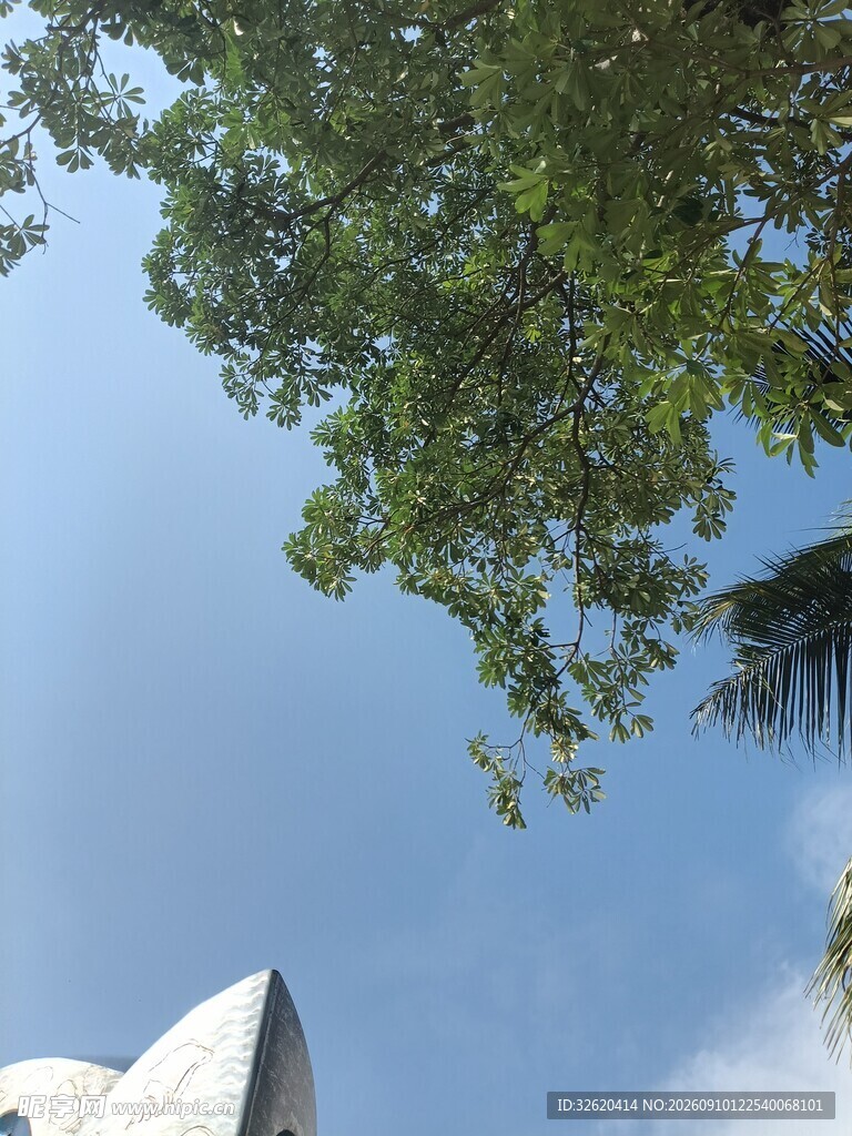 蓝天绿树