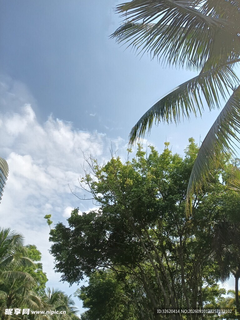 蓝天绿树间的清新景致