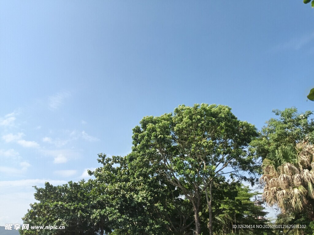 蓝天绿树