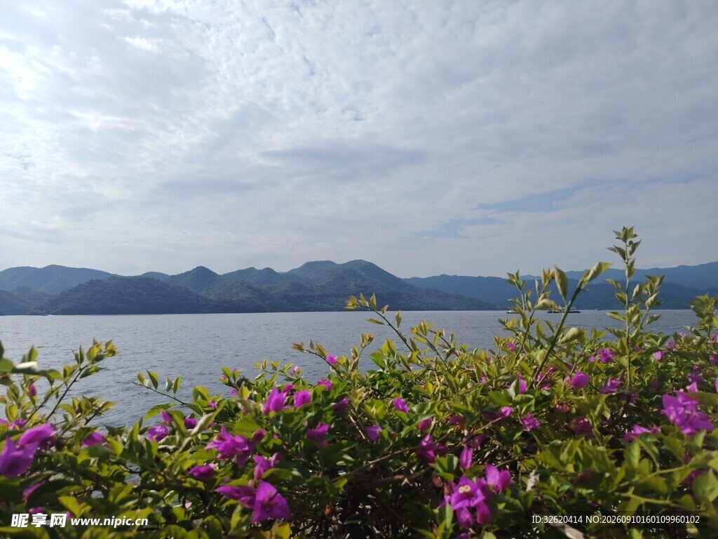 湖畔繁花盛开的美丽景致