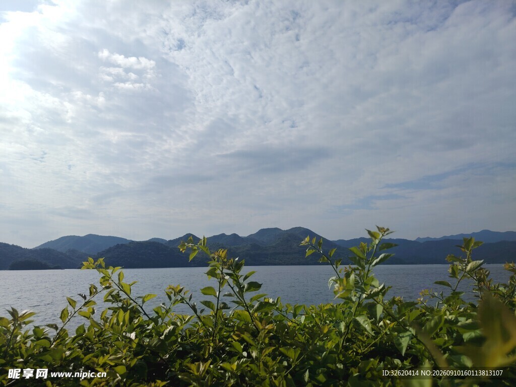 湖畔青山绿植