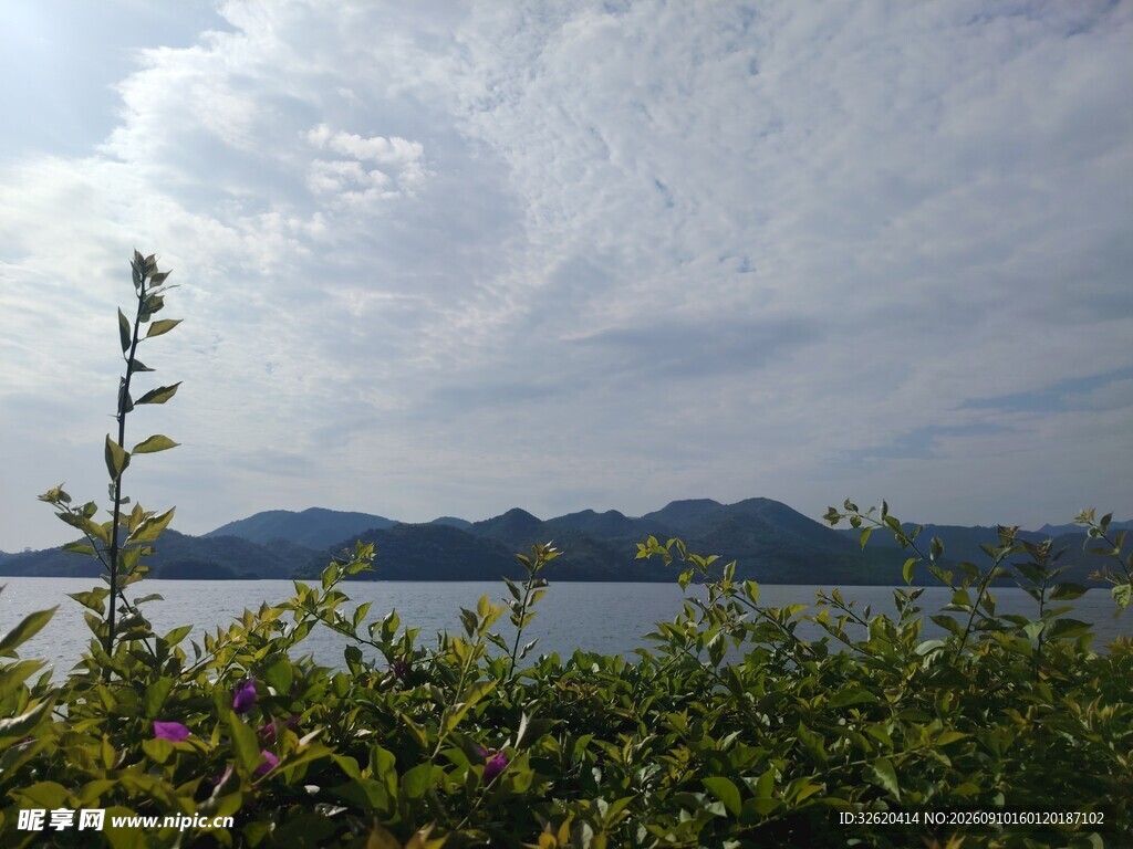 湖畔绿植与远处山水景致