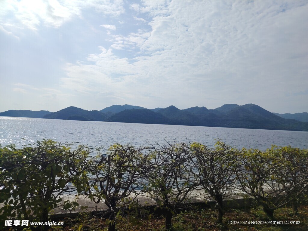 湖畔风景