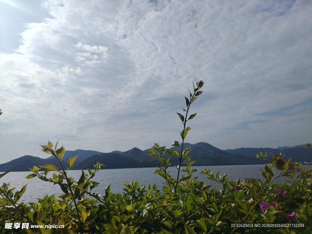湖畔绿植与远山风景