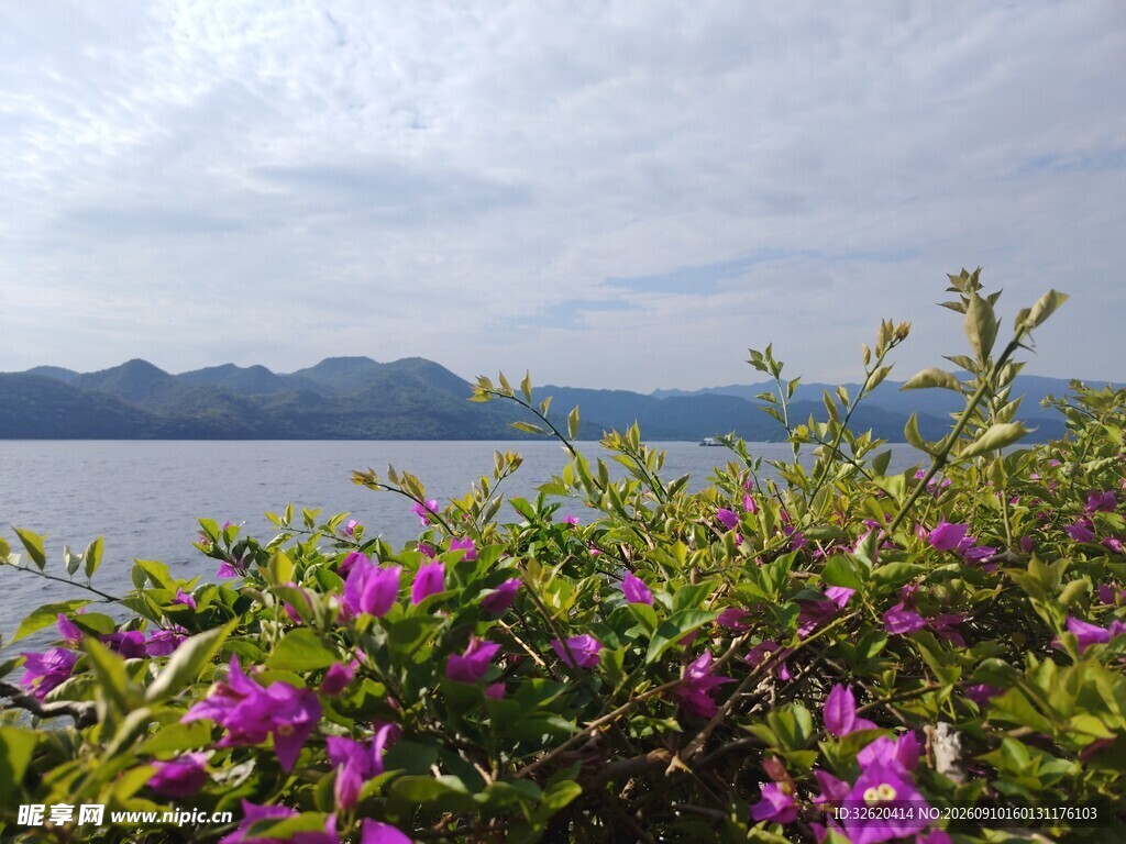 湖畔繁花盛开的美丽景致
