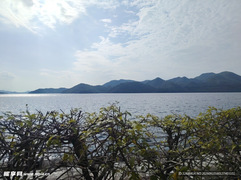 湖畔景致