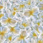 白色花卉图案背景纹理